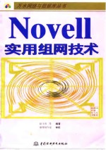 Novell 实用组网技术