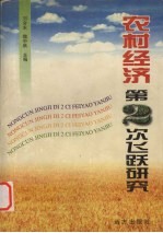 农村经济第二次飞跃研究