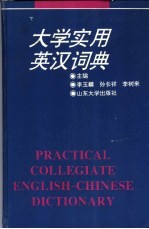 大学实用英汉词典