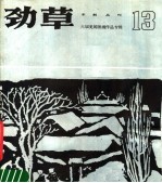 劲草木刻丛刊  13