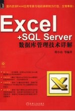 Excel+SQL Server数据库管理技术详解