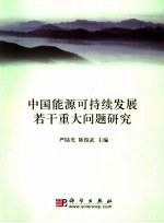 中国能源可持续发展若干重大问题研究  2007