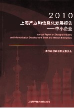 2010上海产业和信息化发展报告  中小企业