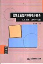 民营企业如何开展电子商务  “从头到尾”之69个问题