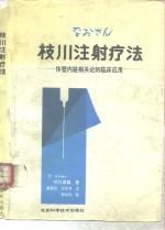 枝川注射疗法  体壁内脏相关论的临床应用