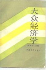 大众经济学