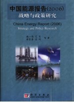 中国能源报告  2006  战略与政策研究