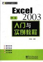 中文Excel 2003入门与实例教程