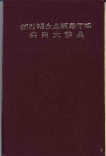 新时期企业领导干部实用大辞典