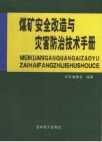 煤矿安全改造与灾害防治技术手册  第2卷