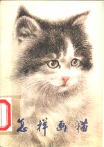 怎样画猫