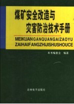 煤矿安全改造与灾害防治技术手册  第1卷