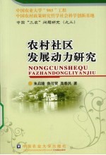 农村社区发展动力研究