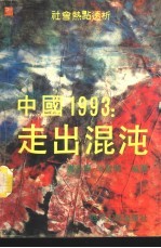 中国1993  走出混沌