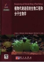 植物代谢途径的生物工程和分子生物学  导读版