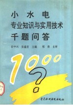 小水电专业知识与实用技术千题问答