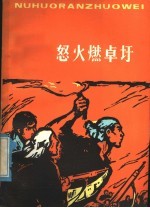 村史：怒火燃卓圩