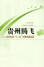 贵州腾飞  科学实现“十二五”时期跨越发展