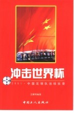 冲击世界杯  2001·中国足球队出线实录