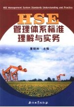 HSE管理体系标准理解与实务