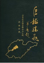 山东省乡镇区街企业大观  济南分册