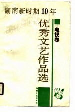 湖南新时期十年优秀文艺作品选  电视卷