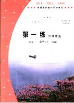 初中第一练  化学  九年级  上  沪教版