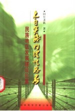 来自实践的理性思考  民族地区发展建设论集