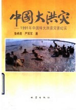 中国大洪灾  1991年中国特大洪涝灾害纪实