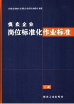 煤炭企业岗位标准化作业标准  下