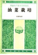 油菜栽培