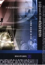 中文版AutoCAD 2006基础教程与操作实录