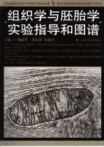 组织学与胚胎学实验指导和图谱