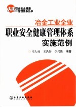 冶金工业企业职业安全健康管理体系实施范例