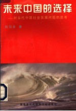 未来中国的选择：对当代中国社会发展问题的思考