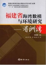 福建省海湾数模与环境研究  湄洲湾