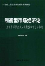 制衡型市场经济论：兼论中国社会主义制衡型市场经济体制