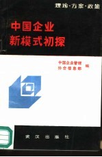 中国企业新模式初探  理论·方案·政策