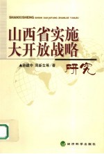 山西省实施大开放战略研究