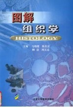 图解组织学