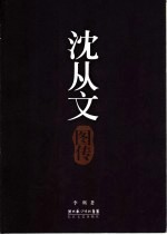 沈从文图传