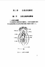 实用计划生育手术图解