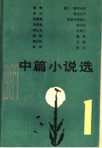 1987年中篇小说选  第1辑