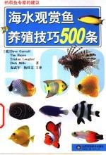 海水观赏鱼养殖技巧500条  热带鱼专家的建议