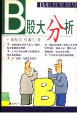 B股大分析