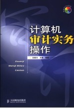 计算机审计实务操作