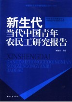 新生代  当代中国青年农民工研究报告