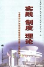 实践·制度·理论  宁夏保持共产党员先进性教育活动成果集  实践成果篇  下