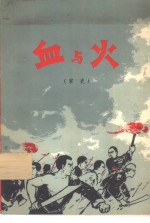 血与火  家史