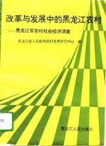 改革与发展中的黑龙江农村  黑龙江省农村社会经济调查